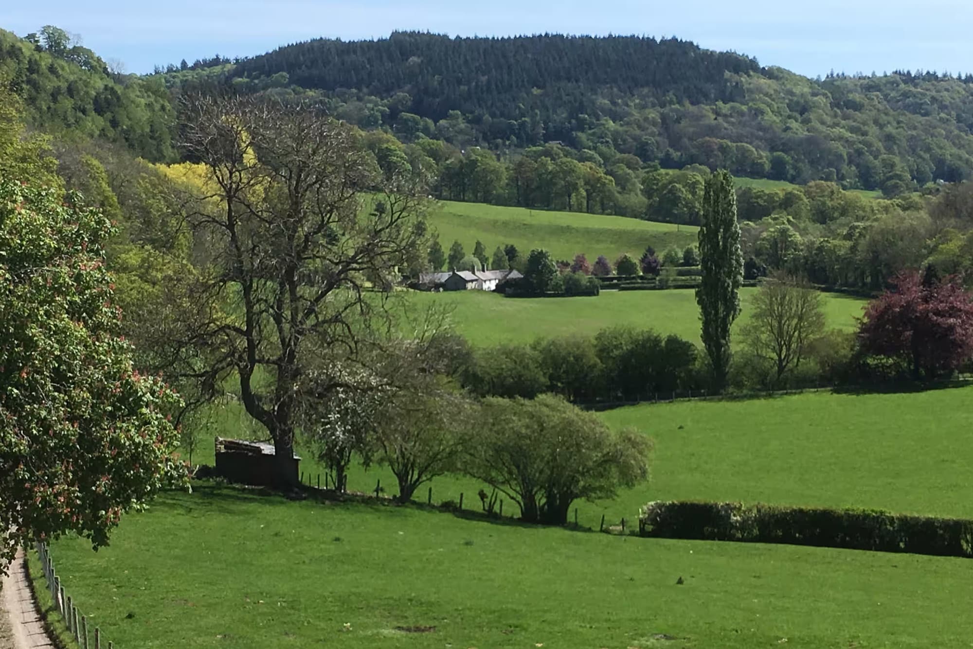 Green fields and wooded hills of the Ceiriog Valley